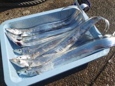 <p>藤岡ブラザーズ様 沖の北内向き テンヤで朝タチ!</p>