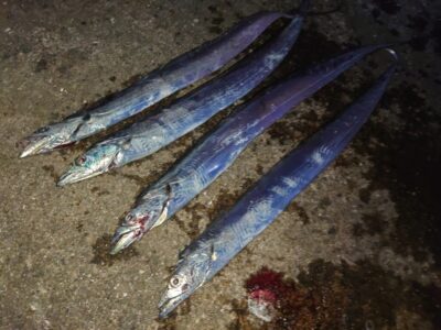 <p>沖の北  朝タチ！</p>