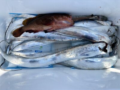 <p>奈良からお越しの謎の3人組様　沖の北　ビッグバッカーでタチウオ🎣　VJでアコウ🎣</p>