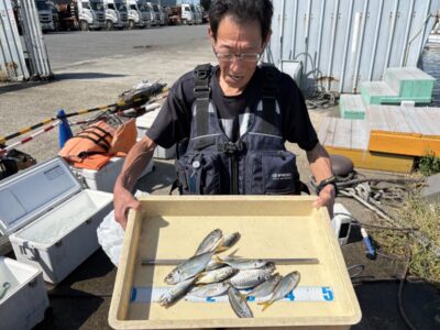 <p>恥ずかしがり屋な宮田様　旧一文字赤灯　サビキ釣りでアジ🎣</p>